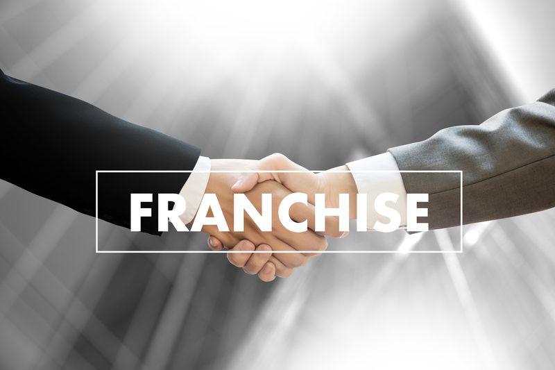 Is a franchise contract for you?